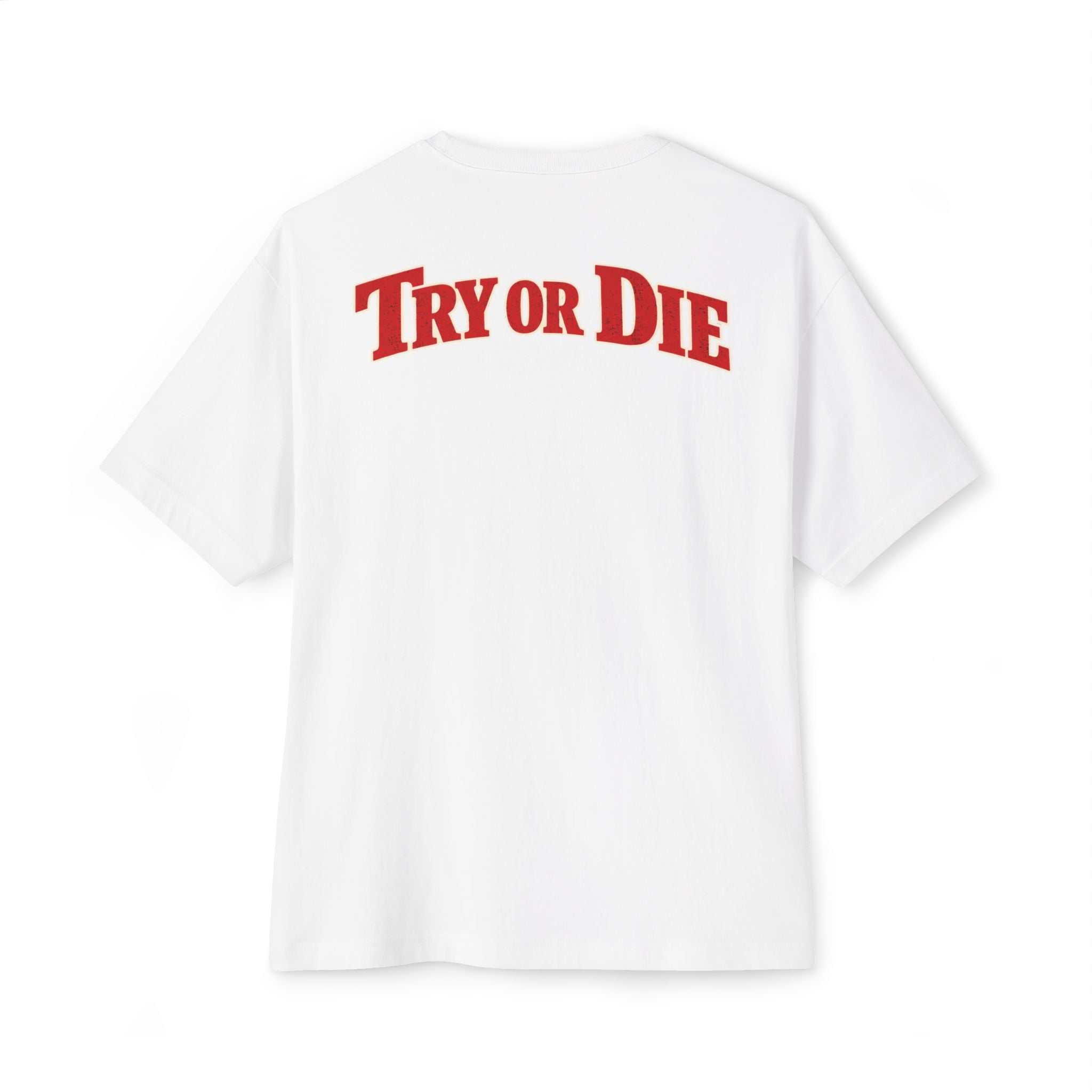 Vintage Try or Die Graphic T-Shirt "Hard Training, Easy Fight"
