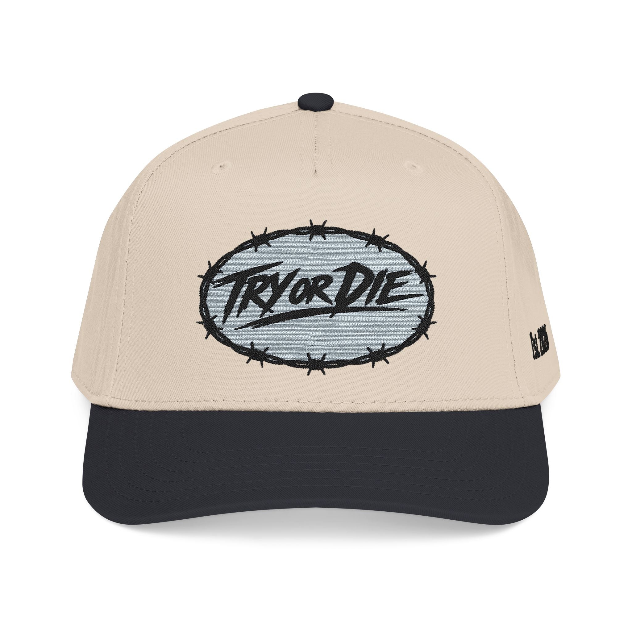 Vintage Embroidered Baseball Cap- Black