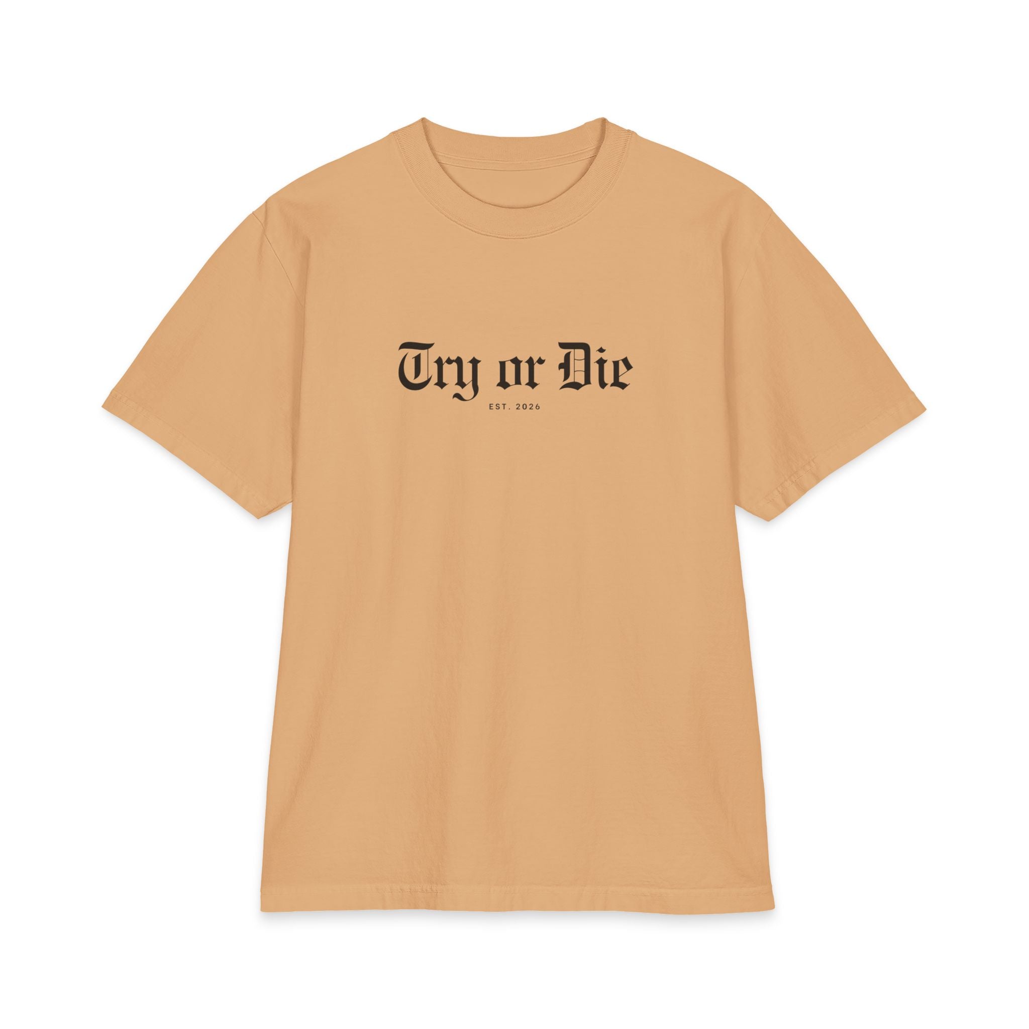Try or Die Graphic Tee - "Blood, Sweat, Tears"