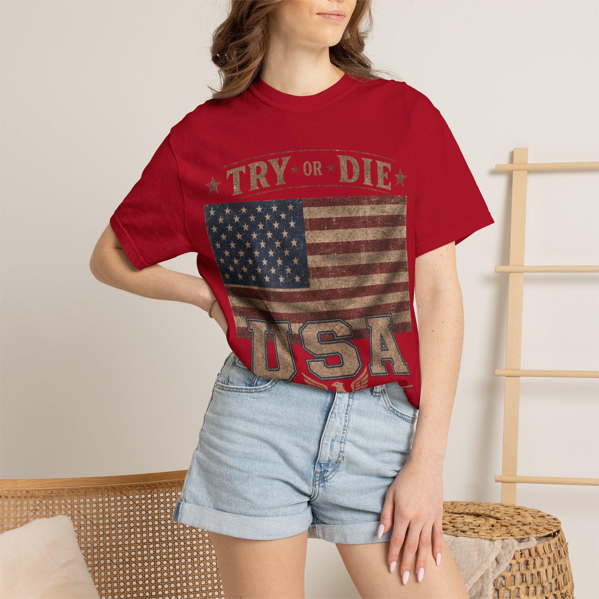Try or Die USA Vintage Flag T-Shirt