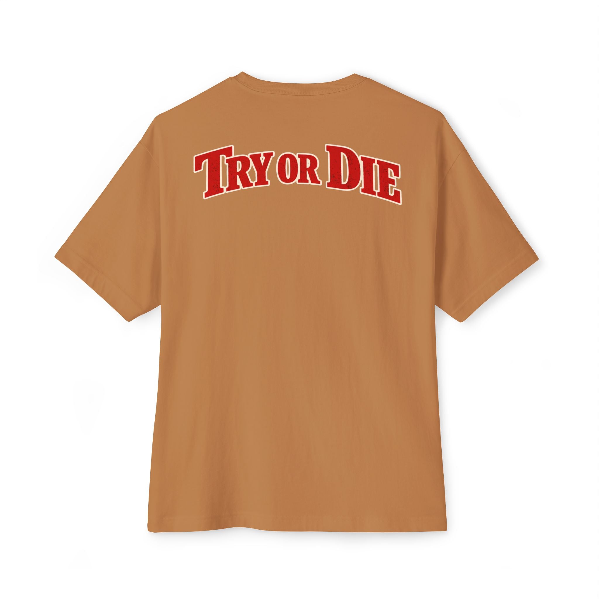 Vintage Try or Die Graphic T-Shirt "Hard Training, Easy Fight"