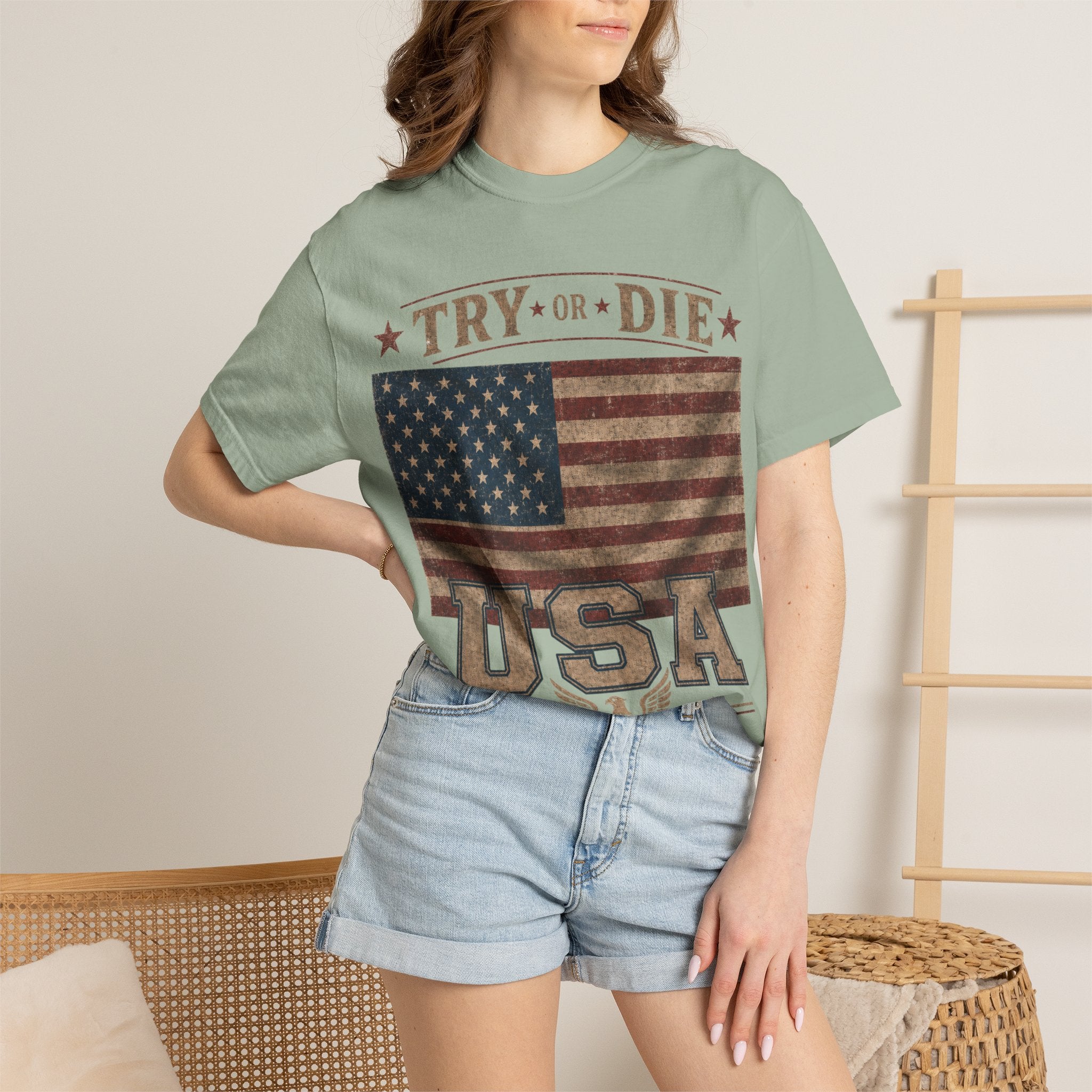 Try or Die USA Vintage Flag T-Shirt
